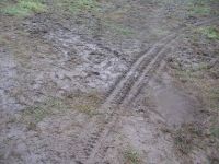 W takich warunkach przyszło nam walczyć.