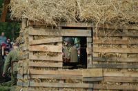 fot. Dariusz Krzyształowski